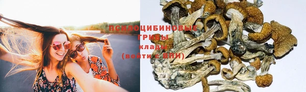 стафф Алексеевка