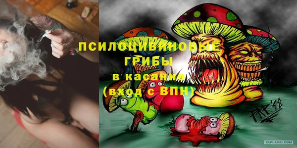 не бодяженный Алзамай