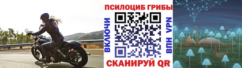 купить   нарко площадка состав  Псилоцибиновые грибы ЛСД  Бодайбо 